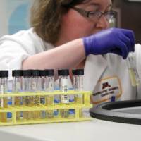 Tracy Otterson puts avian influenza samples in the centrifuge to clean them up before moving to extraction April 8, 2015 at the University of Minnesota\'s Veterinary Diagnostics Laboratory in St. Paul. Federal authorities said Tuesday more poultry flocks in the U.S. are experiencing bird flu. | AP