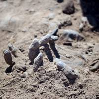 A hand is seen as forensic teams recover dead bodies from 12 suspected Islamic State mass graves in Tikrit, Iraq, on Monday. The city was retaken from the extremists, who may have massacred as many as 1,700 soldiers during the group\'s push through Iraqi territory last summer. | REUTERS