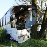 A passenger bus that was carrying South Korean tourists is seen after it struck a tree along Route 212 in Kumamoto Prefecture on Wednesday afternoon. | KYODO