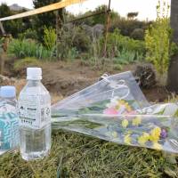 Floral tributes and beverage offerings are seen at a farm in the town of Shibayama, Chiba Prefecture, on Sunday where the body of Manae Noguchi, 18, was discovered last Friday. Four people have been arrested on suspicion of abducting and confining her. | KYODO
