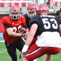 Red alert: Utah Utes running back James Gray runs with the ball at Rice-Eccles Stadium in Salt Lake City during spring camp. | BROOKE FREDERICSON/UNIVERSITY OF UTAH ATHLETICS
