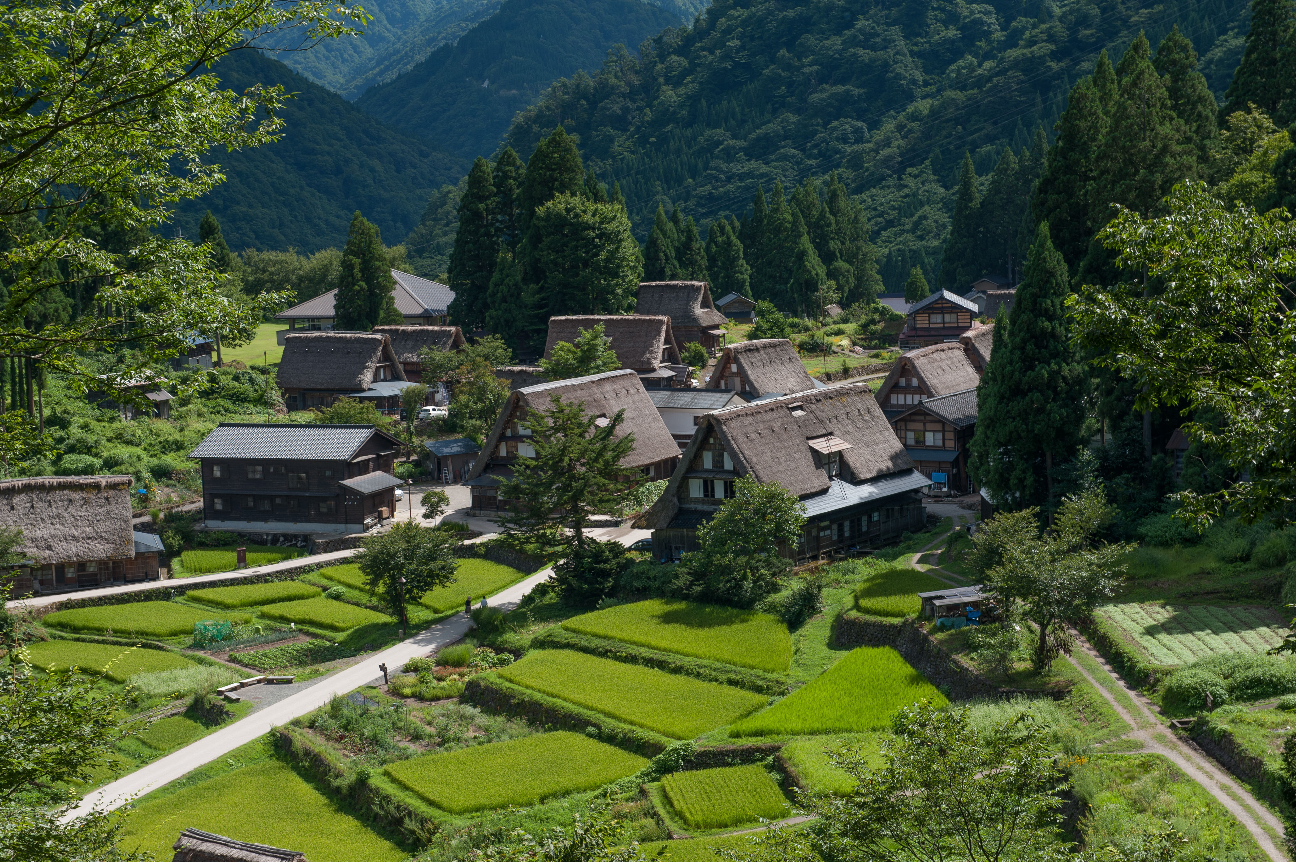 The temporal shift of Ainokura village The Japan Times