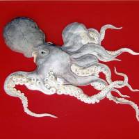 Kumakichi Shioya\'s \"Yorozuya Town Kasa Hoko Dare, Octopus\" (restoration 1848)   YOROSUYADORI-CHOKAI | © GUIMET NATIONAL MUSEUM OF ASIAN ARTS; © MARTIN GUSINDE / ANTHROPOS INSTITUT / ÉDITIONS XAVIER BARRAL