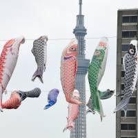 Carp streamers fly in Higashishirohige Park, in Tokyo\'s Sumida Ward, on Wednesday. Koinobori streamers are strung up ahead of Boy\'s Day on May 5 and reflect parents\' wishes that their children will grow up to be as strong as carp. The 45 streamers will be on display through May 20. | SATOKO KAWASAKI