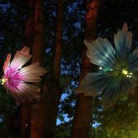 Electric works: Marleen Maathuis and Tim van Cromvoirt will go natural with \"Bloom\" at Roppongi Art Night. | MARLEEN MAATHUIS