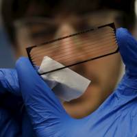A technician prepares a flow cell slide for loading onto a genetic sequencing machine at the biotechnology company Regeneron Pharmaceuticals Inc. in Tarrytown, New York, on March 24. | REUTERS