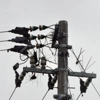 Only a few twigs are left on this utility pole after Typhoon Noul blew away the nest of an oriental white stork in Naruto, Tokushima Prefecture, on Tuesday. | KYODO