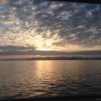 The sun rises near the coast of Wakayama Prefecture | LESLEY DOWNER