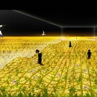 The Scene I exhibition space in the Japan Pavilion creates scenes of Japan\'s rural rice fields throughout the four seasons using projection mapping technology. | JAPAN PAVILION PR