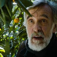 \"Tangerines,\" a story about an Estonian man who has stayed behind in the middle of a bloody conflict in Georgia\'s Apkhazeti region in the early 1990s, was nominated for the 2015 Academy Award for Best Foreign Language Film. | EU DELEGATION TO JAPAN