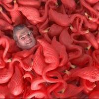 In this 1998 photo, Don Featherstone, creator of the original plastic pink flamingo, sits surrounded by many of the plastic creatures at Union Products, Inc. in Leominster, Massachusetts. Featherstone died Monday at an elder care facility in Fitchburg,  according to his wife, Nancy. He was 79. | AP
