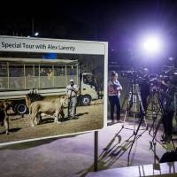Press gather at the entrance to Lion Park, near Johannesburg, Monday, aftera lion killed an American woman and injured a man driving through the private facility. | AP