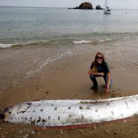 Amy Catalano of the Catalina Conservancy poses near an oarfish that washed up on Catalina Island, California. | REUTERS