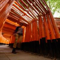 Tourists walk through gateways at the Fushimi Inari shrine in Kyoto on May 28. | BLOOMBERG