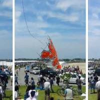 A sequence of three photos shows a large kite crashing into spectators during the annual kite festival in Higashiomi, Shiga Prefecture, on Sunday. | KYODO