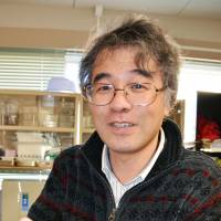 Newt researcher Chikafumi Chiba says he wants to uncover the mechanisms of the animal\'s regenerative abilities and to apply his findings to medical treatments for humans. | KYODO