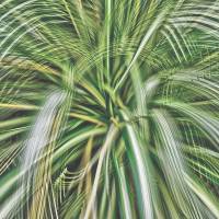 \"Artificial view_botanical_7\" | &#169; ATSUSHI OKABE, COURTESY KANA KAWANISHI GALLERY