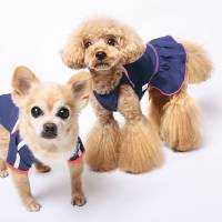 Team-themed outfits for dogs are just some of the memorabilia available. | COURTESY OF FAMOUS CO.