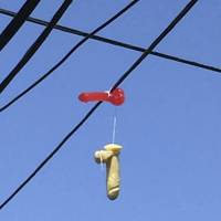 Two adult toys hang over power lines above a residential street in Portland, Oregon, on Monday. Hundreds of phallic sex toys have been seen hanging in recent days from power lines across Portland, provoking laughter and blushes. Strung together in pairs, the objects have prompted numerous reports to the Portland Office of Neighborhood Involvement. | REUTERS