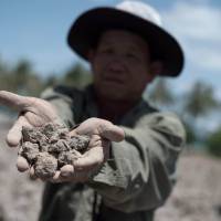 A Thai farmer shows the dried out soil July 2 from his field, which usually yields a crop, in Bang Pla Ma district, Suphanburi province, a two-hour drive north of Bangkok. Thailand\'s vital rice belt is being battered by one of the worst droughts in living memory, forcing impoverished farmers deeper into debt and heaping fresh pain on an already weak economy ­ seen as the junta\'s Achilles heel. | AFP-JIJI