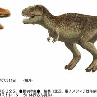 An illustration of the dinosaurs from the Tyrannosauridae family. | TAKUMI YAMAMOTO