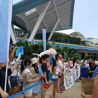Civil society: Activists protest against the keeping of captive dolphins at the Ocean Park Hong Kong marine theme park. | SUZETTE ACKERMAN
