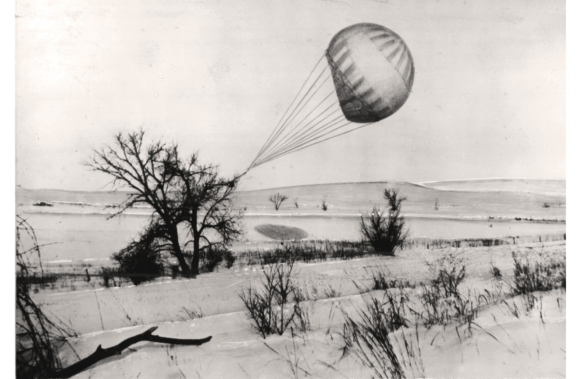 A tree snags a balloon bomb in Kansas on Feb. 23, 1945. | KYODO