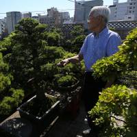 Yokichi Fujita looks out from his rooftop of bonsai | KIT NAGAMURA