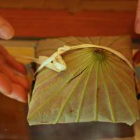 Hasu-no-ii, rice cakes wrapped in lotus leaf, are prepared by Keiko Uchida, who says they are for \"Buddha who visits our home altars during Obon.\" | KIT NAGAMURA