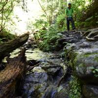 A hiker walks along a creek on Mount Takao, in the city of Hachioji, western Tokyo, in July. Escape Tokyo's baking heat with a cool trek up Mount Takao