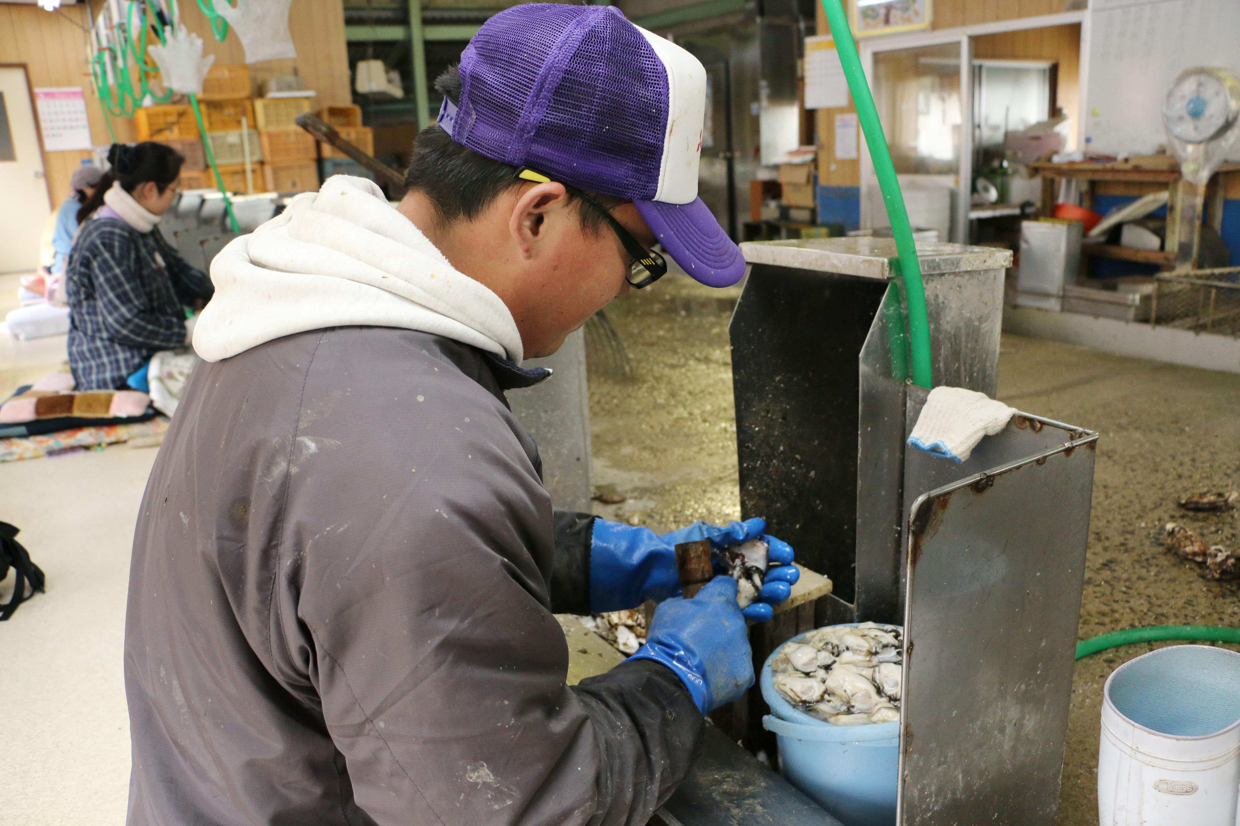 A Chinese technical intern, who came to Japan under the government-backed foreign traineeship program, works at an oyster processing factory in Hiroshima Prefecture in March. | KYODO