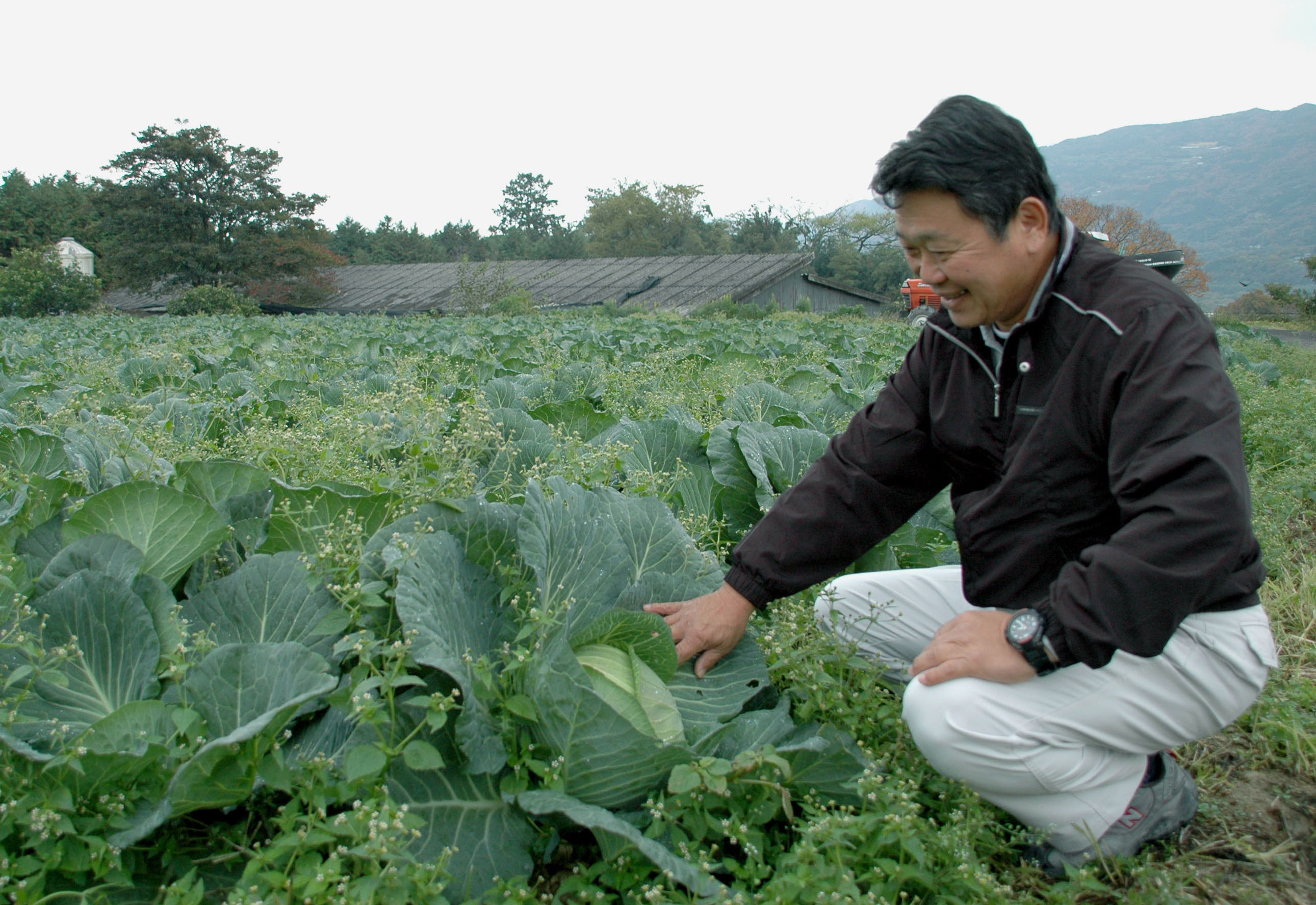 Country boy: A man in a Tokushima Prefecture village checks some crops. A recent TV show called 'Napoleon's Village' focused on depopulation in Japan's rural areas. | KYODO