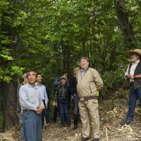 In the thick of it: C.W. Nicol (center) tours the Niki Hills Winery Woodland with Mr. Yamada (left), a local forester, and DAC Group CEO Kazunori Ishikawa (right). | YUKIO TADA