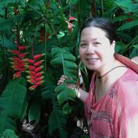 This undated photo provided by Jeff Gillis shows his wife, Phan Phan-Gillis. Chinese authorities are investigating Phan-Gillis, an American businesswoman, on suspicion of spying and stealing state secrets, the Foreign Ministry said Tuesday, confirming earlier media reports that Phan-Gillis of Houston was detained earlier this year while traveling in the country. | COURTESY OF JEFF GILLIS VIA AP