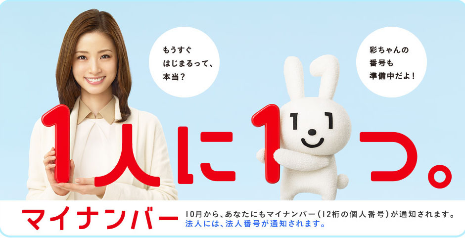 A screenshot from the Cabinet Office website shows actress Aya Ueto and a new mascot dubbed Maina-chan promoting the impending launch of the My Number ID card, which the government insists will make people's lives more convenient. | KYODO