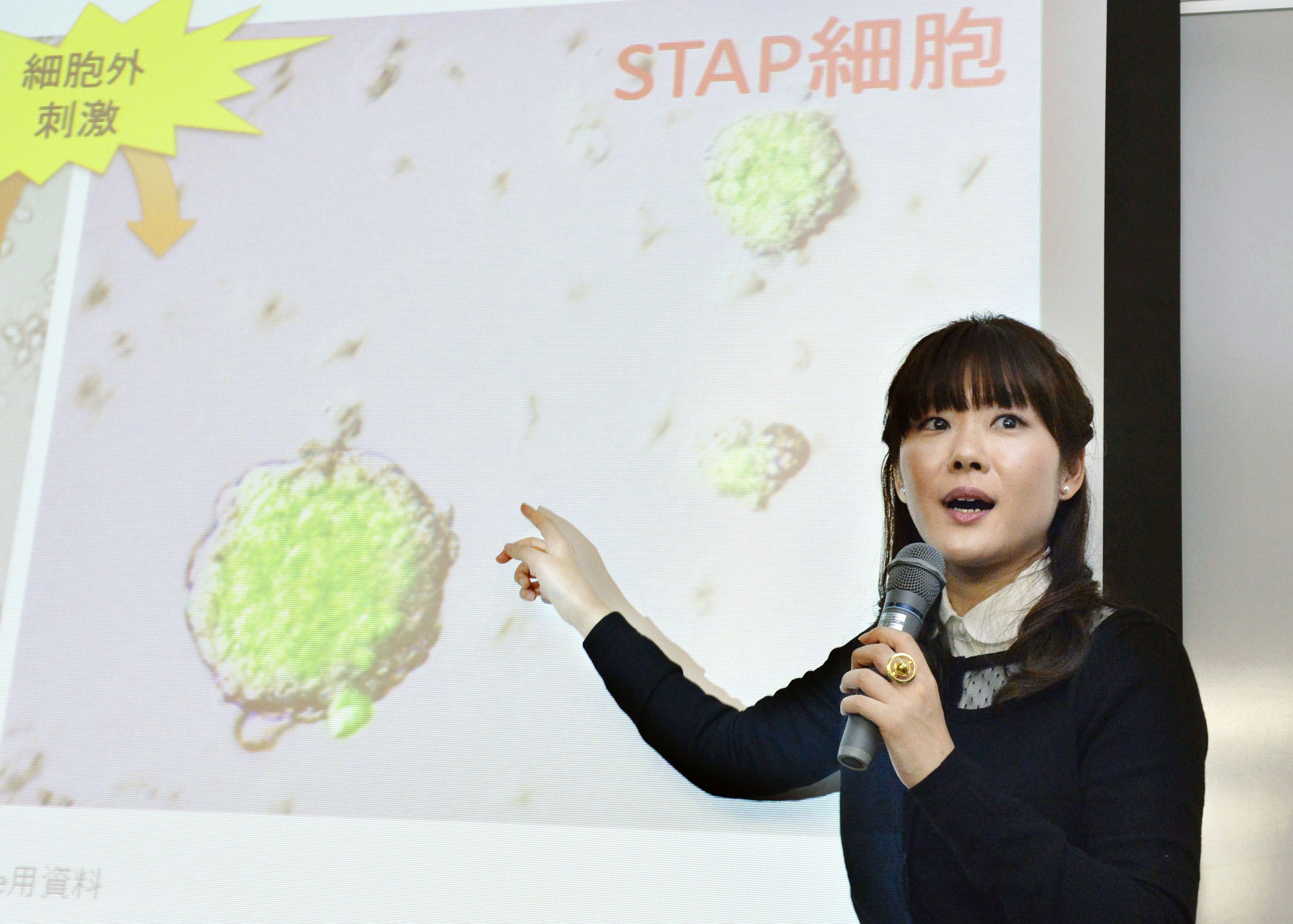 Seven labs worldwide confirm 'STAP' cells cannot be reproduced - The Japan  Times