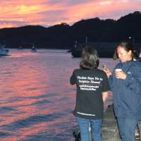 Members of an animal conservation group watch dolphin hunters leaving the port of Taiji, Wakayama Prefecture, early Thursday for the season\'s first dolphin drive hunt. | KYODO