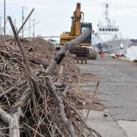 Dead branches and other debris litter a pier at Choshi port in Chiba Prefecture on Sunday. Since last week, workers have been attempting to clean up large amounts of debris with heavy machinery. | KYODO