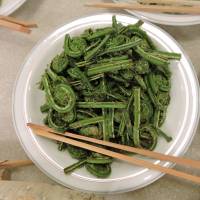One of Yamanomura’s wild plant dishes featuring Japanese royal fern. | JOHN SPIRI