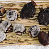 Dried persimmons | JOHN SPIRI