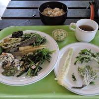 Yamanomura in Gifu Prefecture offers a buffet of 20 or more wild plant dishes. | JOHN SPIRI