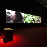 Heungsoon Im in \"Artist File 2015 Next Doors: Contemporary Art in Japan and Korea\" | COURTESY OF THE NATIONAL ART CENTER, TOKYO; PHOTO BY ONISHI MASAKAZU + NAKAGAWA SHU