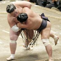 Terunofuji outmuscles Myogiryu at the Autumn Grand Sumo Tournament on Sunday. Terunofuji improved to 8-0. | KYODO
