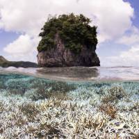 This photo provided by the XL Catlin Seaview Survey, taken in February 2015, shows coral after bleaching in American Samoa. | AP