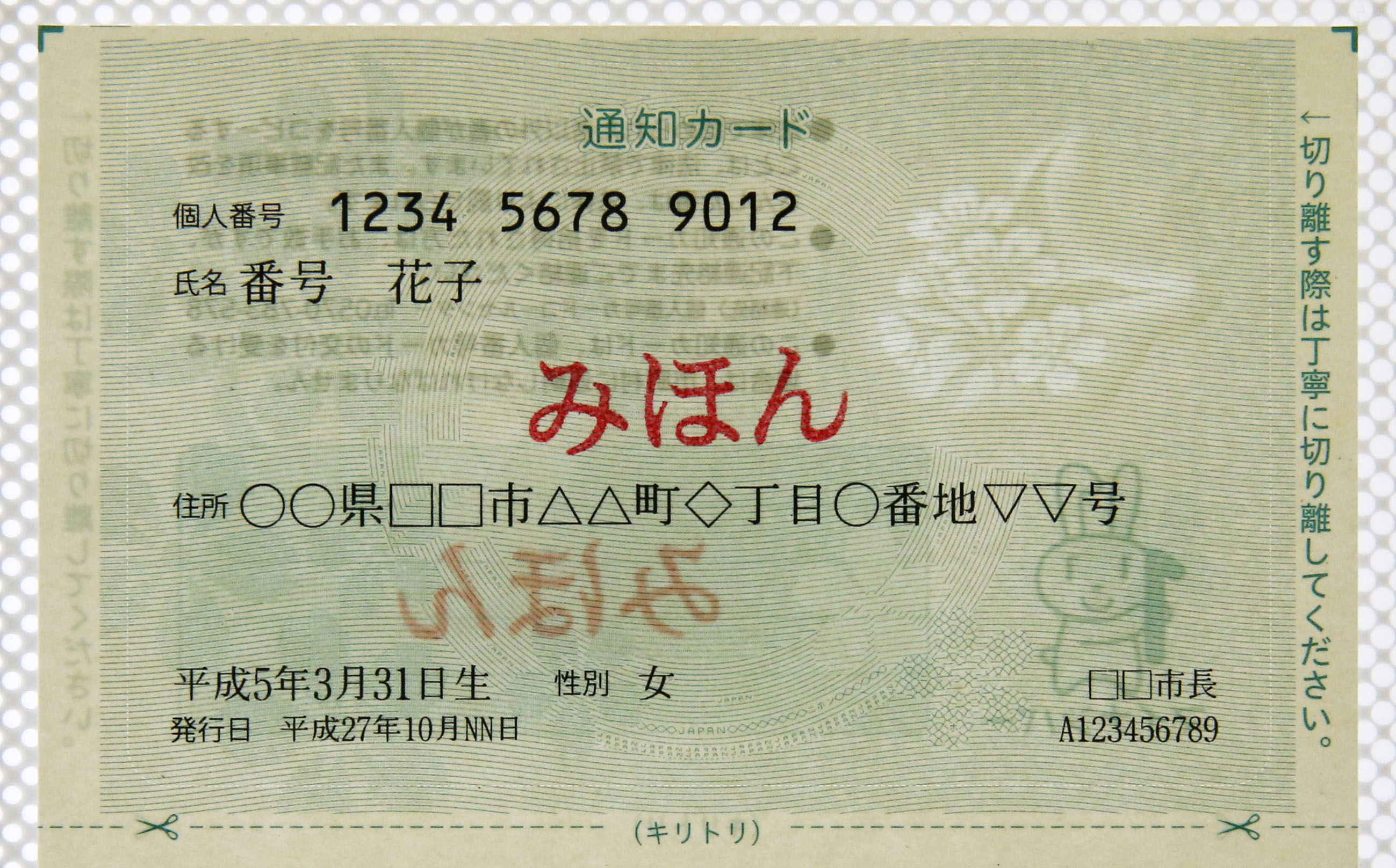 This sample notification card for the My Number system bears a 12-digit number, followed by the name, address, date of birth and gender of the individual, as well as the date of issue and the municipality where it was issued. | KYODO