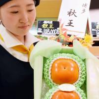 A woman holds a box containing two Akiou (King of Autumn) persimmons, the world\'s first sweet, seedless variety, in the city of Fukuoka on Tuesday. | KYODO
