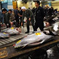 Workers prepare tuna for inspection prior to an auction at Tsukiji fish market | BLOOMBERG