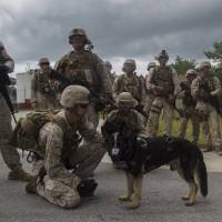 Cpl. Aaron Morris comforts his dog, Coba, as they prepare to board a helicopter. | U.S. MARINE CORPS