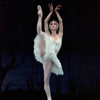Sylvie Guillem strikes a breathtaking pose (which she holds for a seemingly impossible length of time) as Odette in “Swan Lake” in 1997. Guillem bids adieu to her life of dance