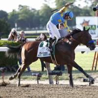 American Pharoah, ridden by jockey Victor Espinoza, wins the Belmont Stakes in New York on June 6 to capture the Triple Crown, horse racing\'s first since Affirmed accomplished the feat in 1978. | REUTERS